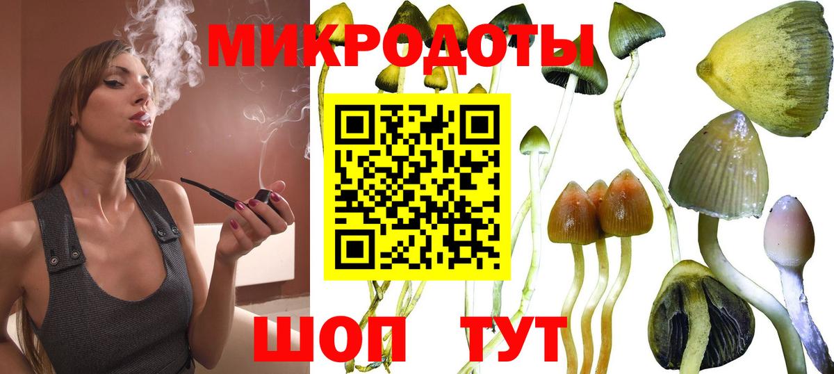 Псилоцибиновые грибы ЛСД Вязьма