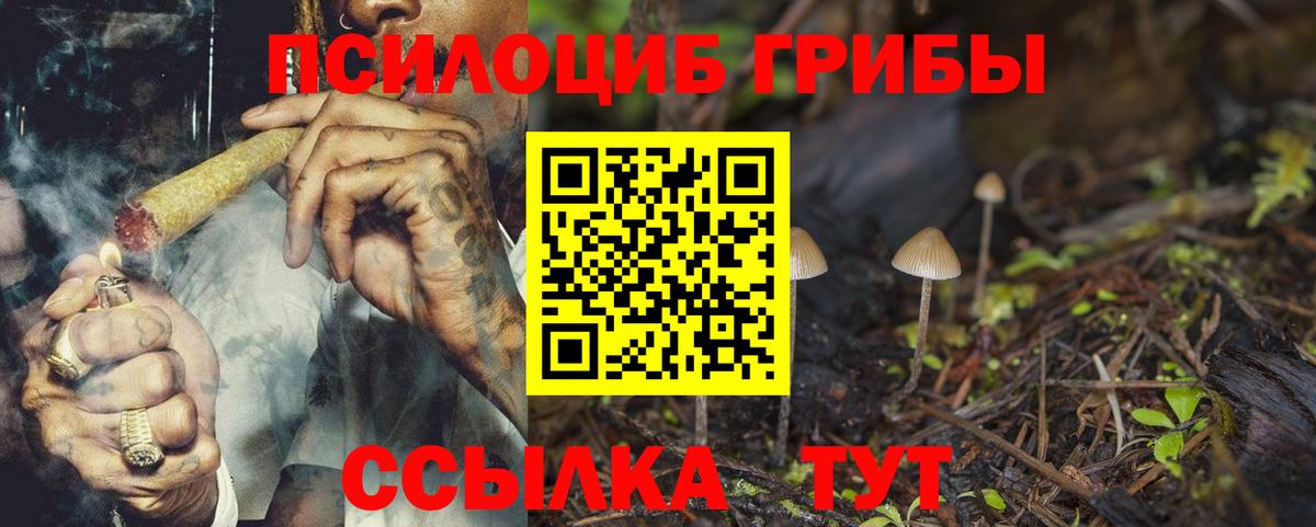Галлюциногенные грибы Magic Shrooms  Вход с VPN  Галлюциногенные грибы Magic Shrooms  Вязьма 